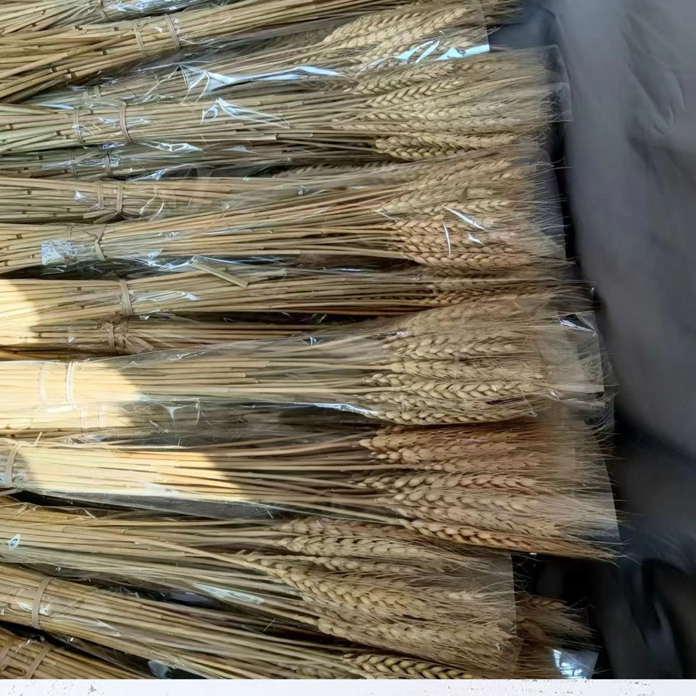 Dried Flower Bulk - 50 шт. Искусственные цветы: натуральные сушеные