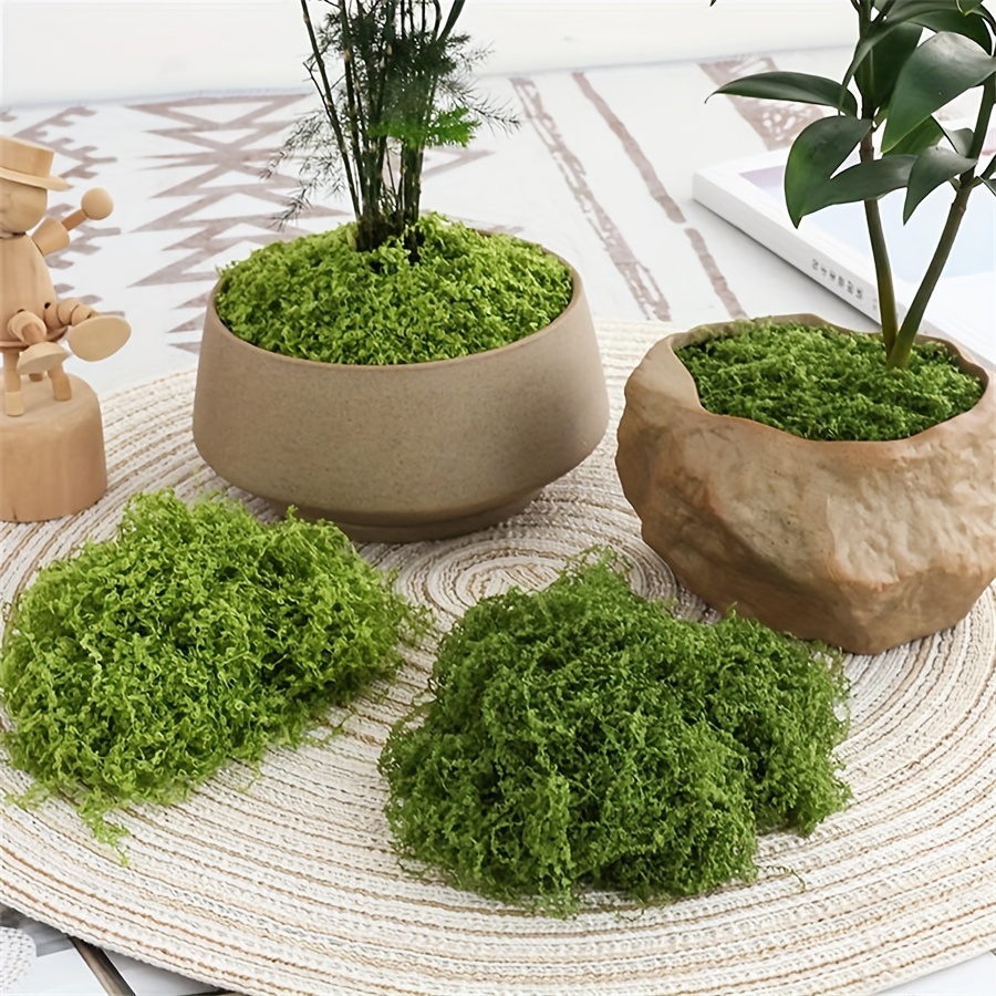 Terrarium Moss Art - 1 упаковка искусственного мха, 1,05 унции,