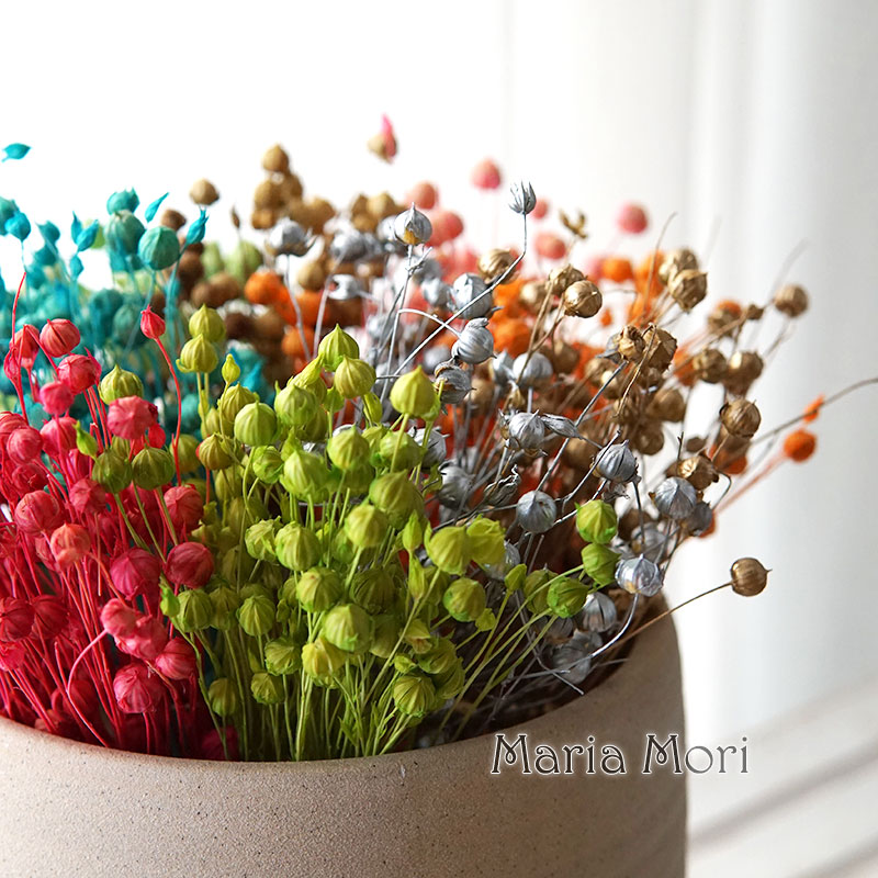 Dried Flower Bulk - 5 г/консервированные льняные бобы, натуральные цветные