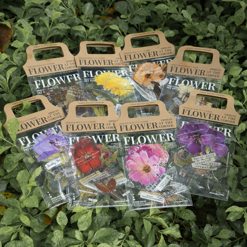 10 шт./упаковка, наклейки из с – обзор и цена Dried Flower Bulk