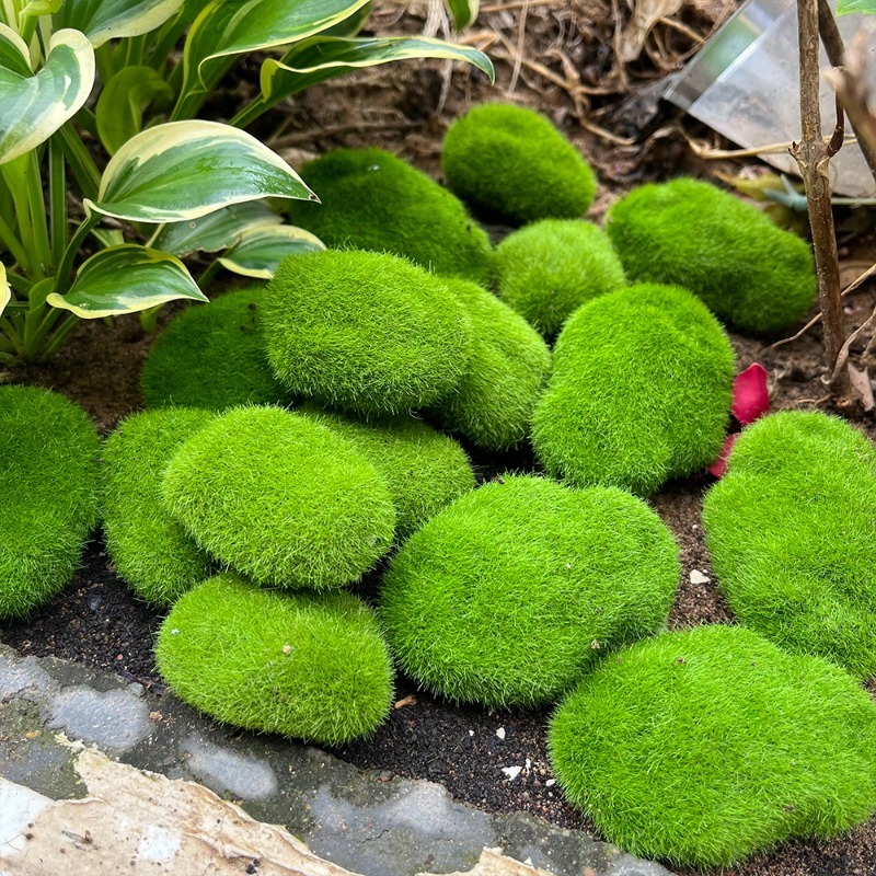5/30 шт. Искусственные камни-м – обзор и цена Terrarium Moss Art