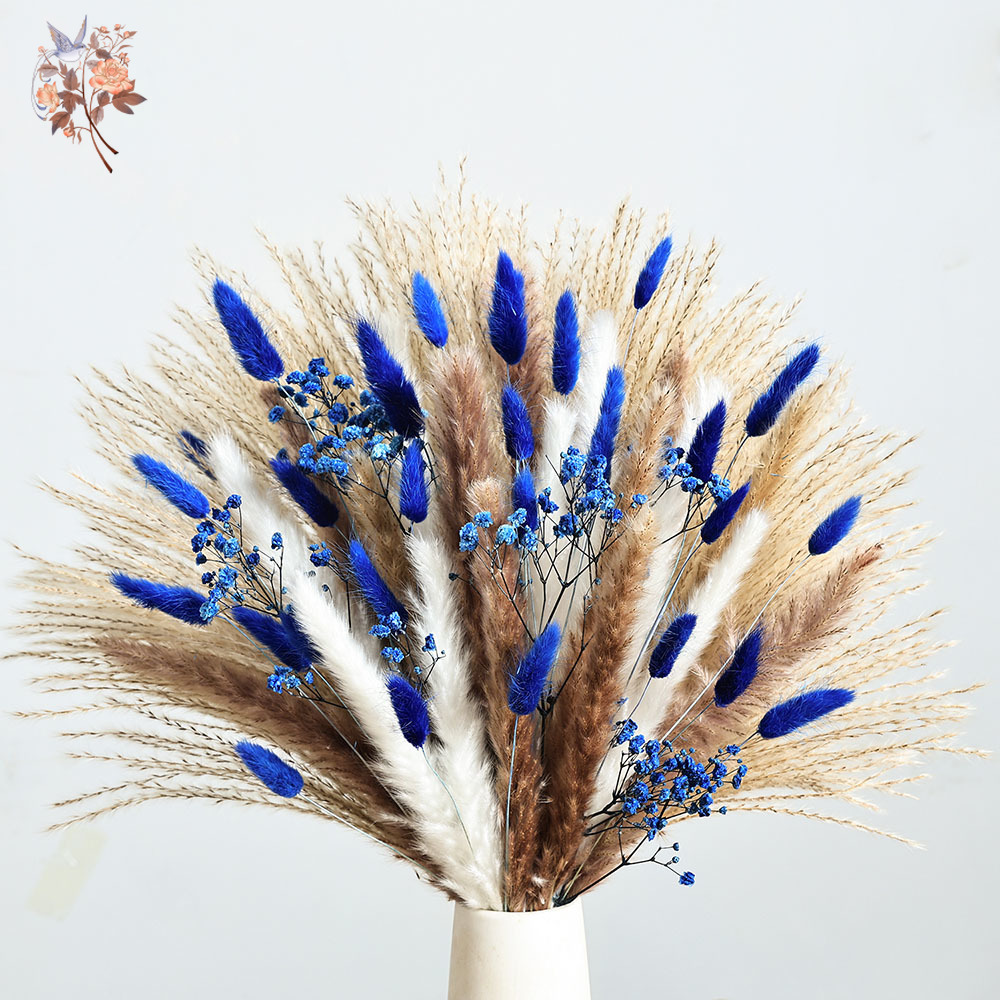 70-ступенчатый синий пушистый  – обзор и цена Dried Flower Bulk