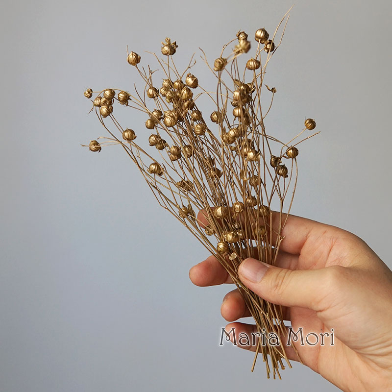 5 г/консервированные льняные б – обзор и цена Dried Flower Bulk