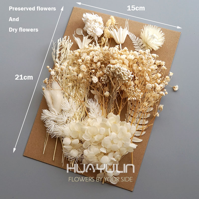 1 упаковка, искусственные раст – обзор и цена Dried Flower Bulk
